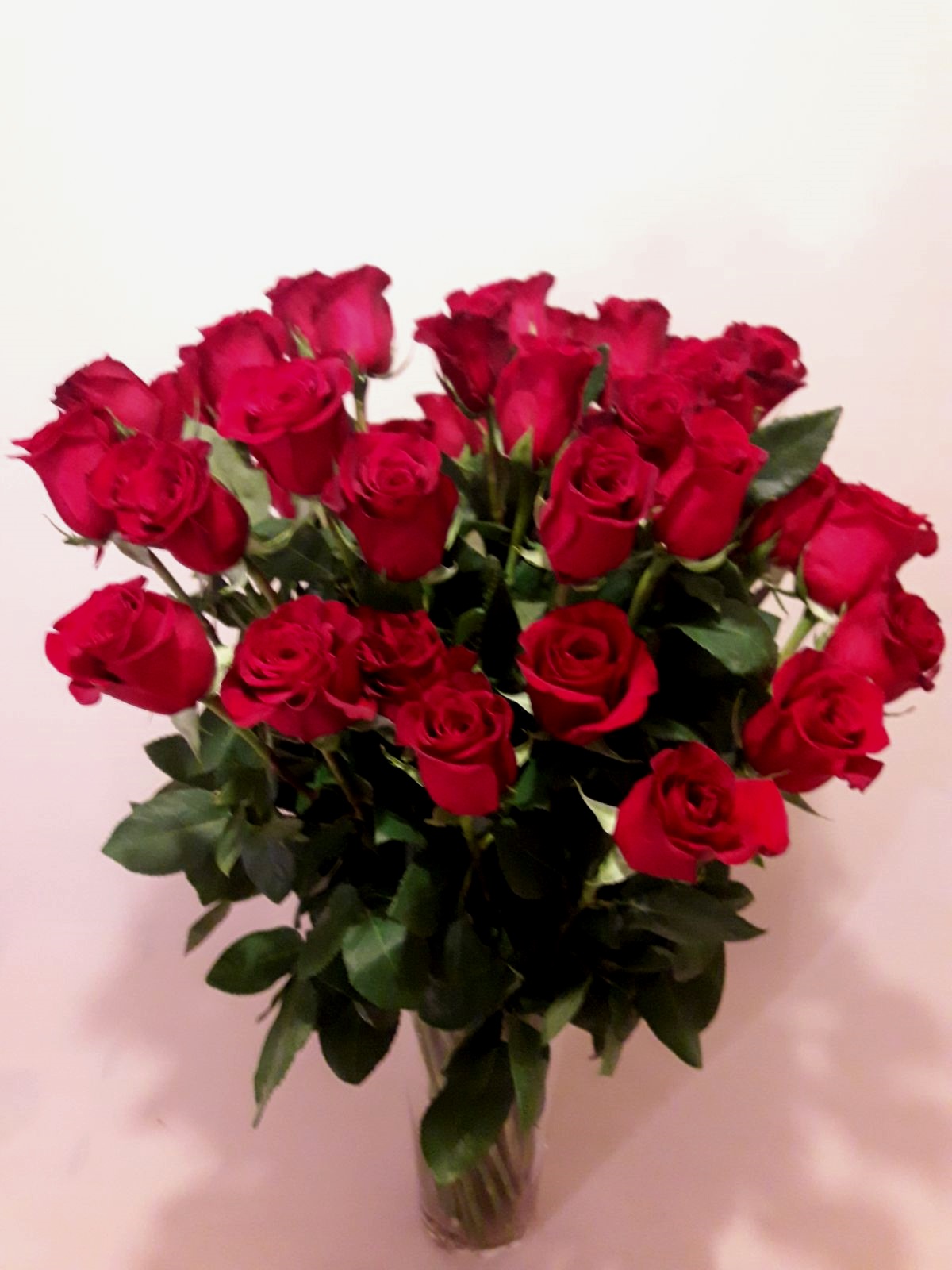 Ramo de 6 rosas largas - Floristería en madrid, Flores Arguelles, Plantas  artificiales Moncloa
