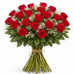 Ramo de 24 rosas largas