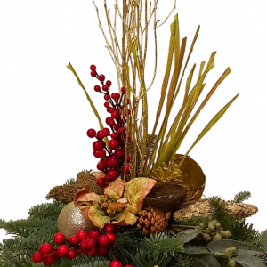 CENTRO DE NAVIDAD FORTUNE