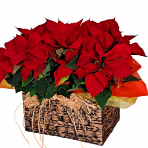 CESTA NAVIDAD GRANDE RAFIA