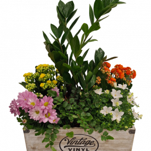 Caja Vintage mediana