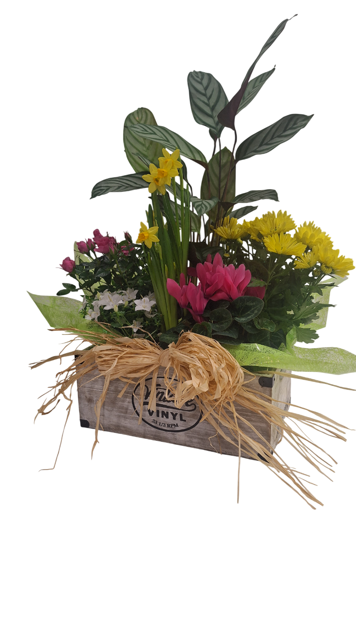 CAJA VINTAGE GRANDE - Imagen 4