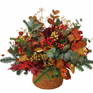 CENTRO NAVIDAD FRIENDLY